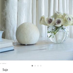 Ultrasonic SAGE Poosh diffuser-